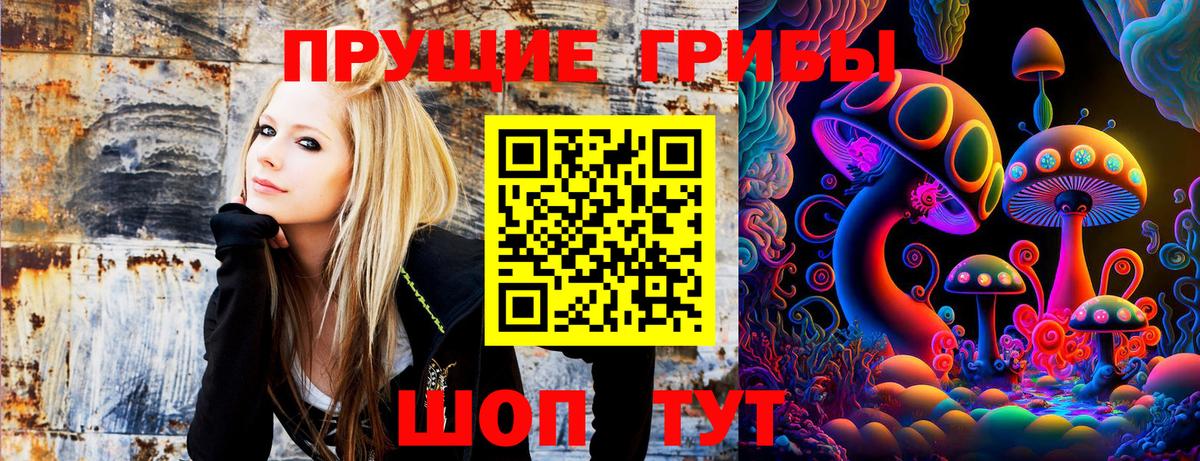 Электросталь  Галлюциногенные грибы мухоморы  где продают   Вход с VPN 