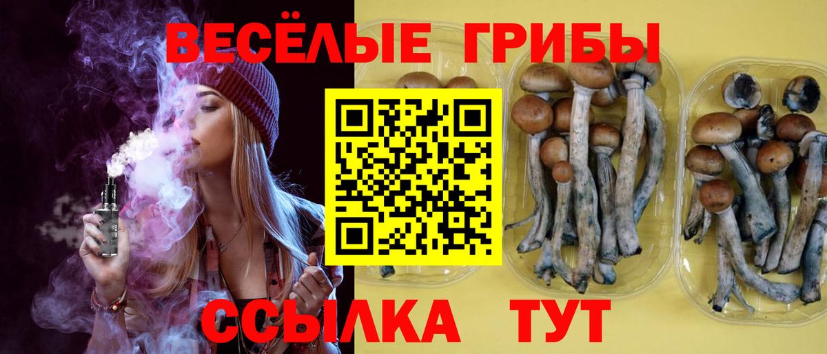Псилоцибиновые грибы Cubensis Электросталь